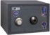 Купить сейф Safetronics NTL 24LG в ДОМІ СЕЙФІВ