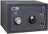 Купить сейф Safetronics NTL 24LGs в ДОМІ СЕЙФІВ
