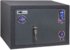 Купить сейф Safetronics NTL24Ms в ДОМІ СЕЙФІВ