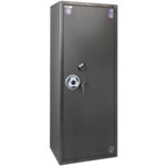 Купить сейф Safetronics TSS 160MLG/K5 в ДОМЕ СЕЙФОВ